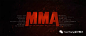 MMA 披荆斩棘的哥哥