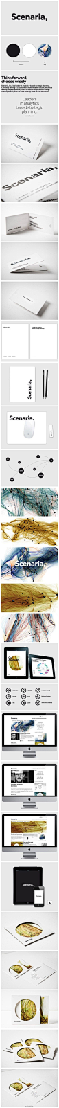 Scenaria 公司从事分析基础上的策略顾问，是一家专业的策划、顾问公司。设计师给它赋予了两套基本的视觉形象，黑色和白色的形象代表了公司的专业，而彩色的形象又给公司带来了一种活力和轻松。