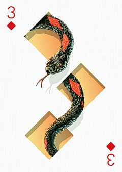 蜻蜓队长0000采集到poker