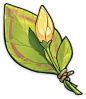 A Flower Yet to Bloom