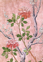 chinoiserie silk wallpaper, shen de tang, pink