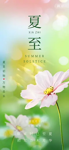 24节气夏至节日节庆营销宣传PSD海报