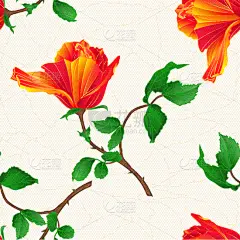 纹理效果,玫瑰,橙色,浪漫,壁纸,自然美,春天,复古,花,爱