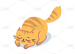 快乐可爱的条纹猫角色在白色背景向量插图。平面线艺术风格设计的睡眠动物猫