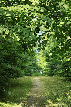 弱洛采集到建筑/场景/内景