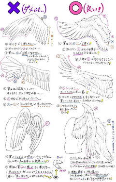 cm-k采集到翅膀