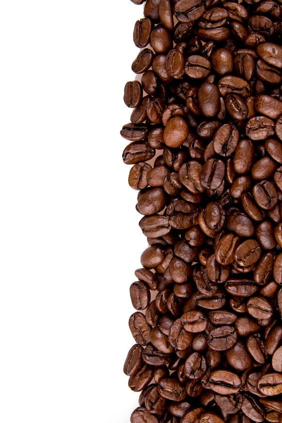 咖啡豆 (33)