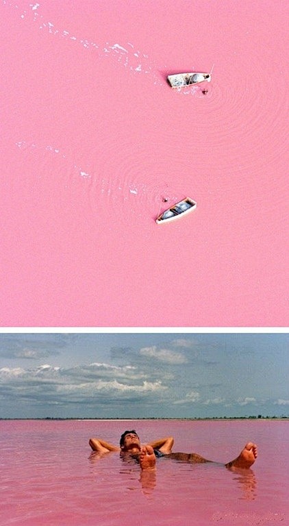 Retba湖，塞内加尔或作为法国的紫胶....