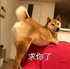 表情包：加油，把公司干倒闭！_腾讯新闻