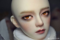 ss花雨ssxhhh采集到bjd