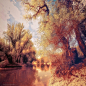 Ildiko neer，来自意大利的女摄影师，她的作品总有一种像油画里梦境一般的美感。