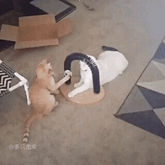 禹先生采集到搞笑图片