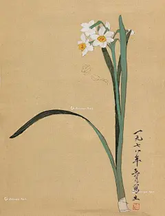 陈之佛水仙的搜索结果_百度图片搜索