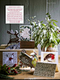 #圣诞季#Wrapped all up，包礼物确实是一门艺术。（#Country Living UK# December 2016)