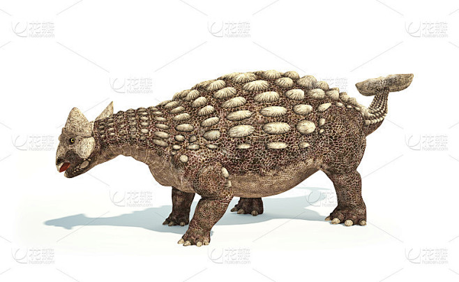 甲龙恐龙照片逼真的表现。动态的姿势。