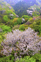 山口春，郡山市，福岛县，日本
Mountain pass in spring, Koriyama city, Fukushima, Japan