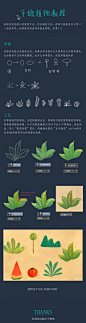 ps手绘植物教程