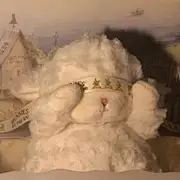1个毛毛毛毛
