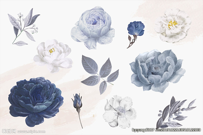 手绘水彩蓝玫瑰花卉插画