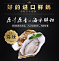 澳洲进口鲜活净化生蚝新鲜全壳生蚝海蛎子即食牡蛎海鲜水产品批发-tmall.com天猫