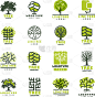 证章,户外,绿色,森林,公园,杉树,植物,剪影,树,旅行