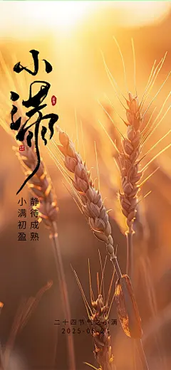二十四节气小满宣传活动海报