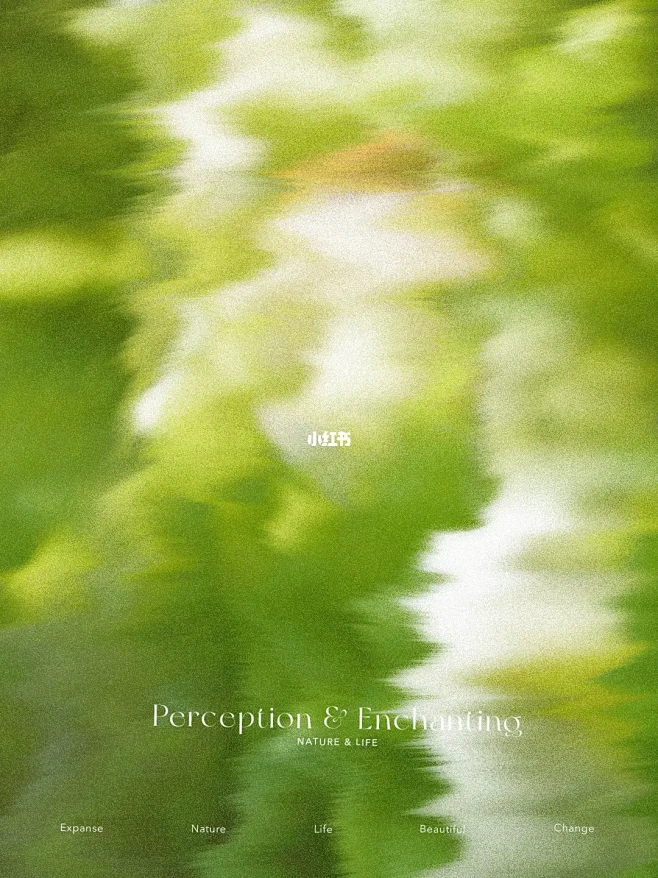 一树一花之下 / Perception ...