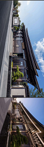 雲间九记· 寻一泓清寂曲池荷 |上海松江·泗水和鸣