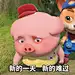 豆豆猪表情包006