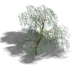 树1_objects3_00497_2.png