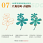 植物绘制无从下手？9 种常见植物绘制技巧