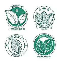 薄荷叶，logo标志矢量图设计素材