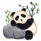 手绘-竹子熊猫动物元素贴纸2