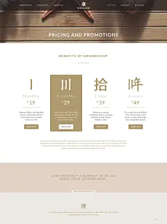 TITSTUDIO 建站 健康理疗品牌网站