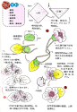 手工花制作 精致的梅花-创意生活,手工制作╭★肉丁网