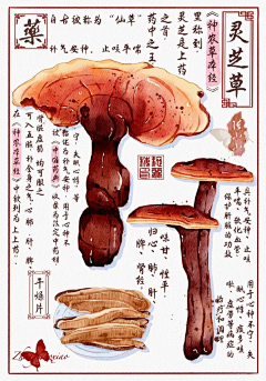 yZiDRwhg采集到绘画