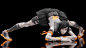 "Jack-O Pose"火出圈 多名角色来模仿令人把持不住！(3)_游侠网 Ali213.net