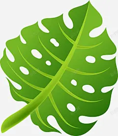 绿色叶子棕榈叶图 热带棕榈芭蕉叶 热带植物 环境 绘画 自然 元素 免抠png 设计图片 免费下载 页面网页 平面电商 创意素材