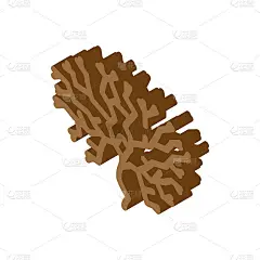 爱尔兰苔藓海藻等距图标矢量插图