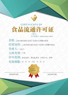 视频流通许可证证书设计模板