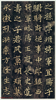 北斗指南采集到花纹