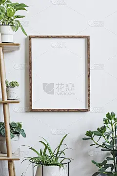 斯堪的纳维亚和植物室内与棕色模拟海报框架在白墙上。白色的背景墙。现代花卉概念。热爱大自然的人。