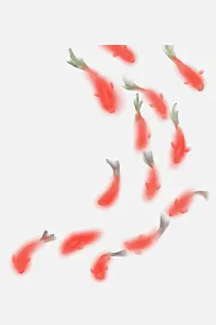 金鱼鲤鱼插图中国风水墨画手绘艺术小鱼设计-众图网