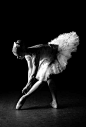 Ballerina, ballet, dancer, woman, female, feet, hands, shadow, gracious, yndefuld, beautiful, intense, photograph, photo b/w.: 