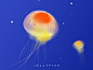Jellyfish illustration illustration ocean jellyfish