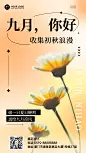 九月你好_封面预览图