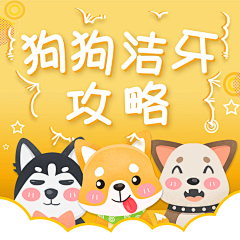 moonpign采集到pet/dog/cat-