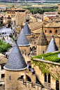 Olite, Spain (by basajauntxo)