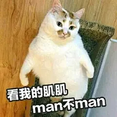 求这个猫的图_表情包吧_百度贴吧