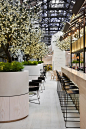 3-Ovolo Woolloomooloo, Sydney by HASSELL